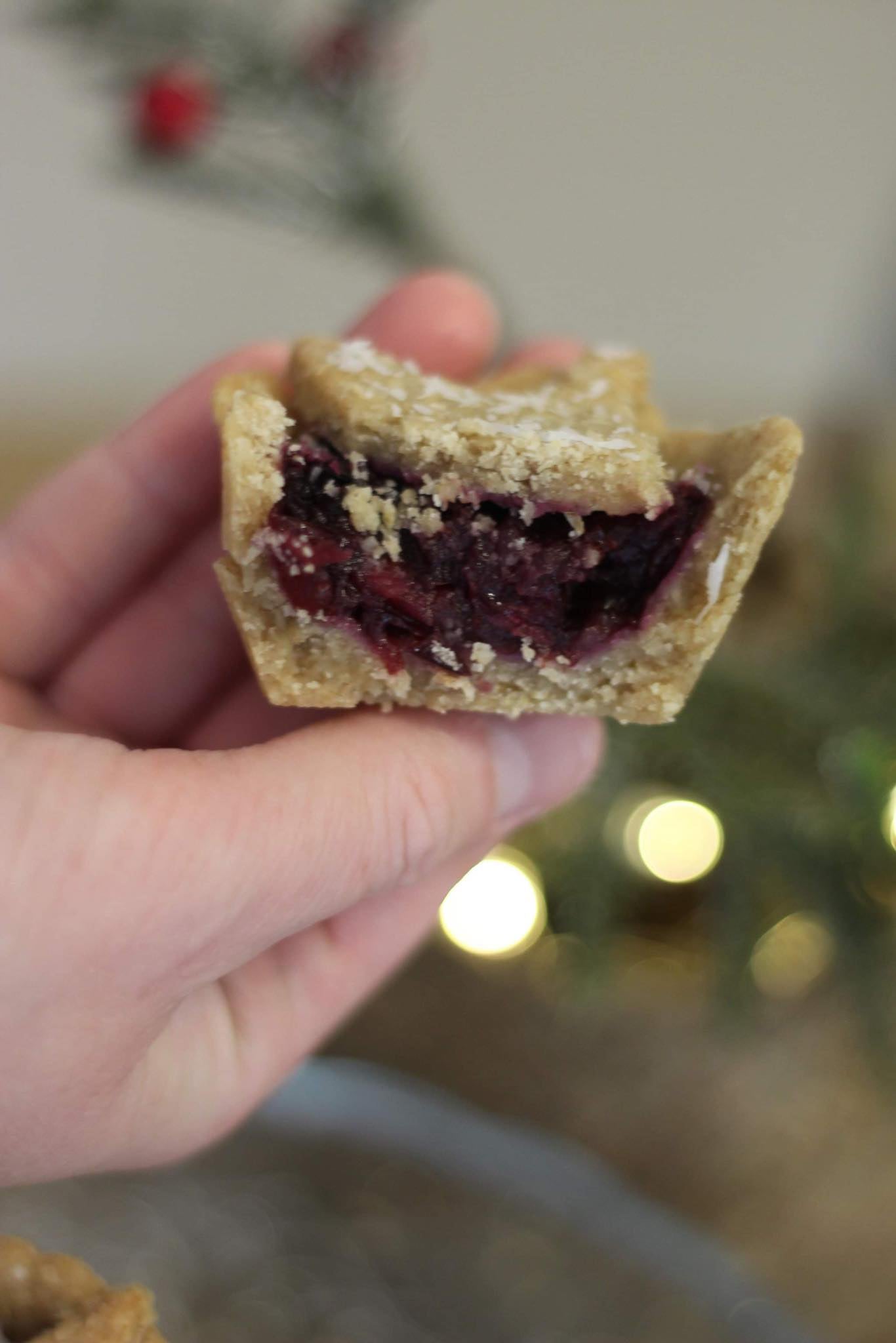 Mince Pies (Diabetic Friendly)